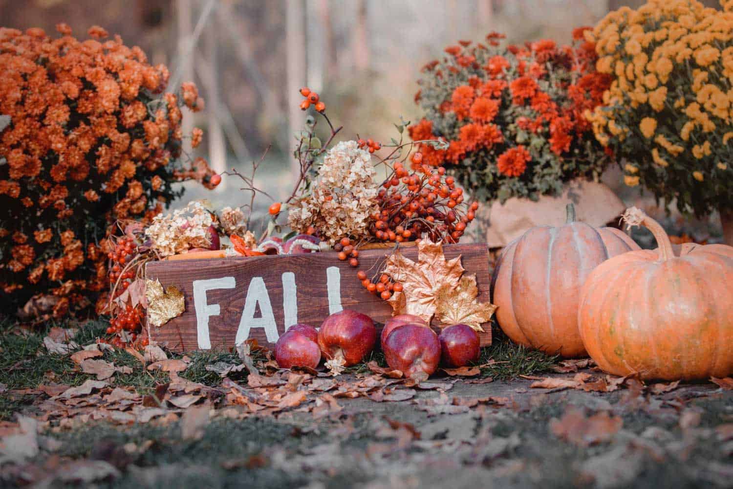 Spooky Season Fall